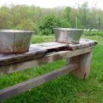 Texas woman leaves buckets of food for Bigfoot family – Hartford Top News