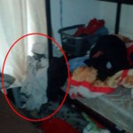 Family attacked in their sleep by demon – Mirror Online