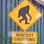 Hunting Bigfoot in Indiana – FOX59