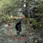 Woman Spots Bigfoot in West Sussex – ITV News
