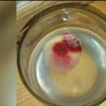 A Miracle Happened at Saint Xavier Church – FOX13