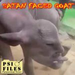 Satan Faced Goat Shocks Village