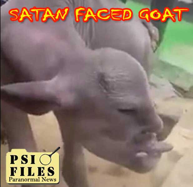 Mutated Evil Goat