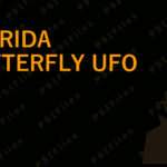 Florida Butterfly UFO